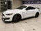2019 Ford Mustang Shelby GT350R