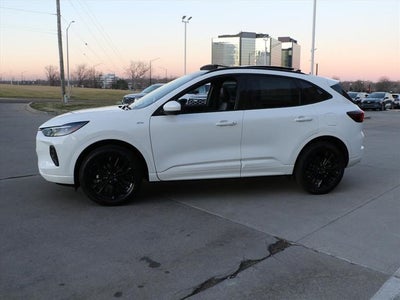 2026 Ford Escape ST-Line Elite
