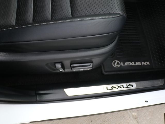 2019 Lexus NX 300 F Sport