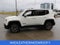 2017 Jeep Renegade Limited