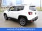 2017 Jeep Renegade Limited