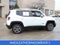 2017 Jeep Renegade Limited
