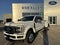 2025 Ford Super Duty F-450 DRW Platinum